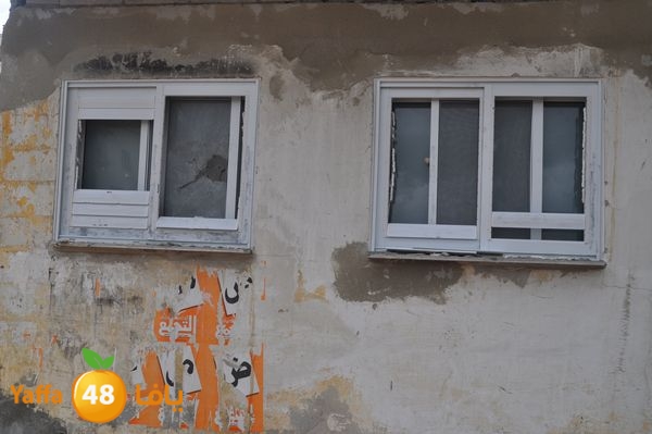 kaneswa7akhdra2lud316 (8).JPG